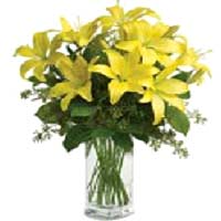 The name speaks by itself! Glorious Asiatic Lillies in yellow color, delivered i...