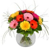 An assortment of mix-color Gerbera daisies. A colorful bouquet that will bring a...