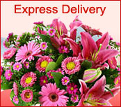 Express Delivery To villa alemana
