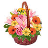 Send Flowers and Gifts to  Japan, Honkg Kong, Germany, Singapore, Usa, Uk, Italy, France, Brazil, Mexico, Malaysia