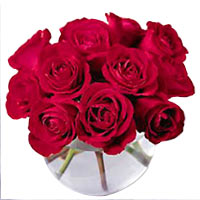 Breathtaking 1 Dozen Red Roses in a Glass Vase