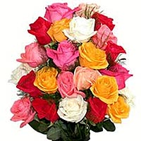 Fill happiness in their life through this nice collection of 24 mixed Roses bouq...