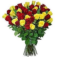 Sending thoughtful greetings and warmest regards, 2 dozen red and yellow roses m...