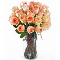 Our collection of earthy and creamy apricot hued roses establish a new definitio...