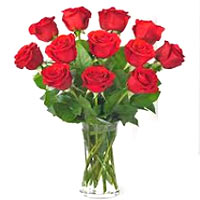 A large bunch of frsh red roses of vase can be used for gift purpose.! 15 red ro...