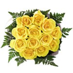 12 Yellow Roses ...