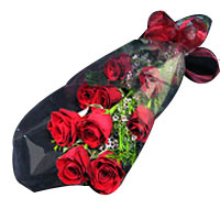 Arrangement of 10 Red Roses, expressing your pure feelings!...