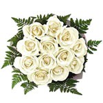 Pure white rose....
