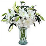 A classic bouquet, delivered in a pot, comprising a mixture of pure white flower...