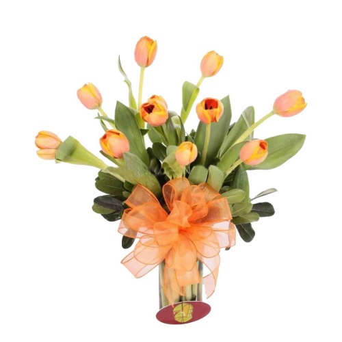 Tulips are one of the most sought after spring flo......  to Guasave