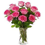 Warm Embrace of Pink Roses