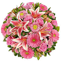 This delightful bouquet made of Stargazer Lilies along with pink Asters, pink ge...