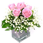  6 pink roses in a vase for your lover as to tell her/him of your romance and ab...