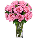 Pink roses can mean a variety of things and are the perfect gift for many occasi...