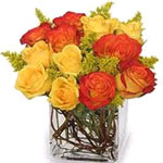 The color, the bold look, beauty of yellow and orange roses. <br/>Note:- Deliver...