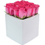 The Rose Cube Pink 16 is one of the beautiful new ...