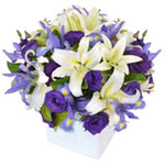 A truly lovely floral gift - our Sweet Violet design boasts an eye catching sele...
