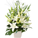 One of our most eye catching floral gifts, the Del...