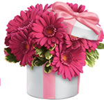 This arrangement of passionately pink gerberas in ...