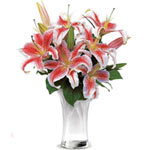 Lilies have long been a sweet and wonderful way to...