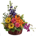 Celebrate their greatness with this glorious rainbow of lilies, roses, gerberas,...