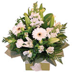 A delightful white mini box consisting of fresh mini gerberas, lilies, carnation...