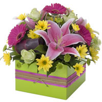Gift your beloved a moment to cherish by sending h...