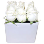 The Rose Cube white is one of our most recent addi...