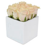 Rose Cube White 9