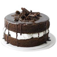 Extra Creamy Chocolate Cake