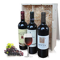 Bright Trio Bordeaux in Wooden Box