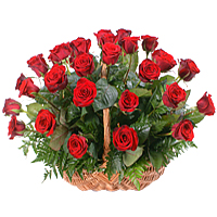Big Basket of 24 Red Roses. A classic gift ideal f...