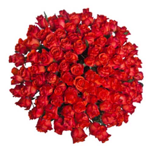 Let the 100 Red Roses bouquet set the standard for......  to Caxias do sul