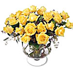 Our most popular rose. 2 dozen sumptuous roses wit...