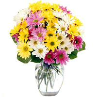 This mixed daisy bouquet features the bright colors of the season arrive wrapped...