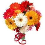 This hand-tied Gerbera Daisy bouquet contains a mix of the season's best colors....