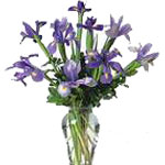 With Beautiful Shades of Blue, This Iris Bouquet W...