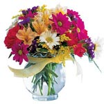 Richly hued alstroemeria, carnations, daisies and ...