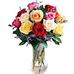 One Dozen Long Stem Assorted coloured Roses fine p......  to Niagara falls