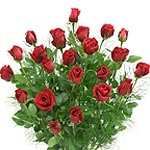 Two Dozen Red Roses Bouquet Direct From Garden.......  to Port colborne
