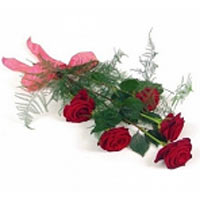 This dazzling  collection of 5 red roses makes an eloquent bouquet best for your...