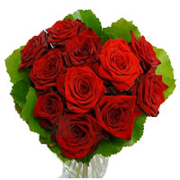 Send this  bouquet  of 11 Red Roses as a gift to your loved ones through us ...