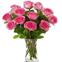 Cute one side open hand bunch of  10 pink roses. Vase Not Include....