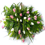 Awsome bouquet in White & Pink tulips...