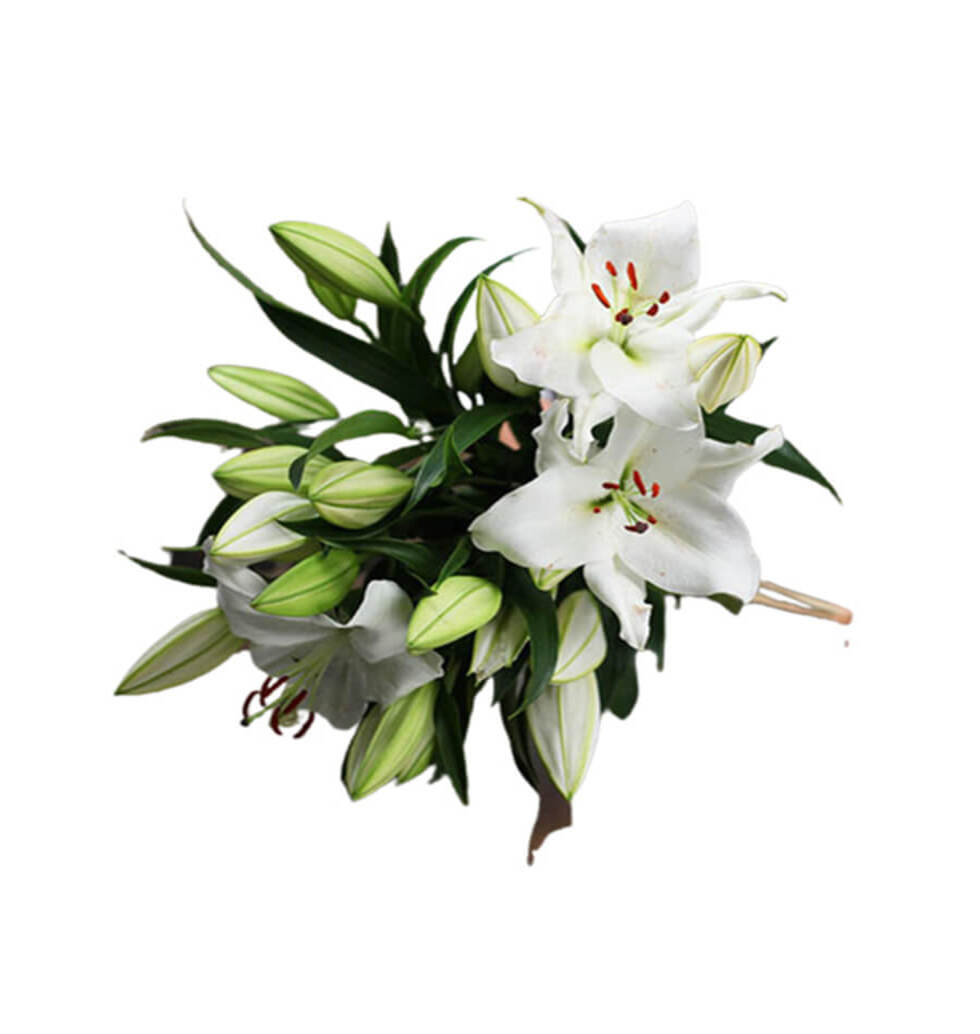 White lilies epitomise elegance and refinement. The lilies that bloom for a very...