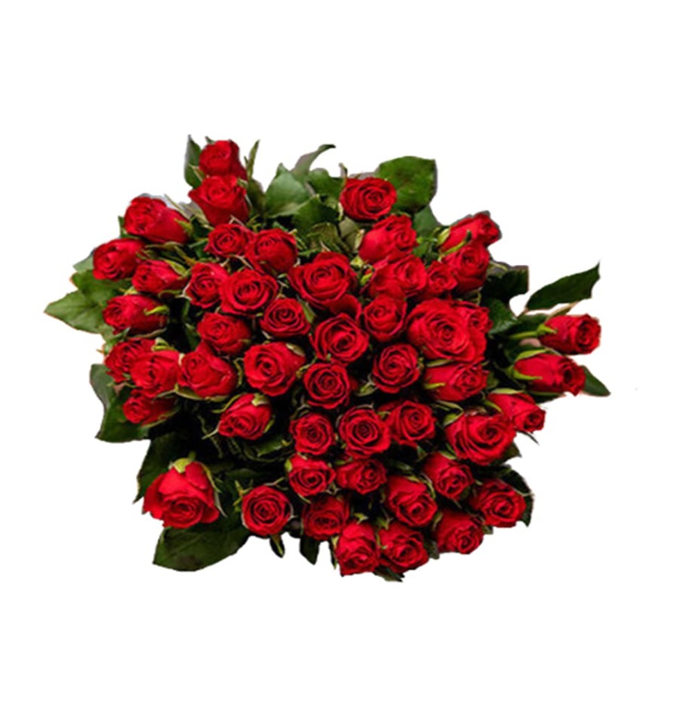 When a bunch of 50 ravishing Red Roses come together in such beautiful wrapping,...