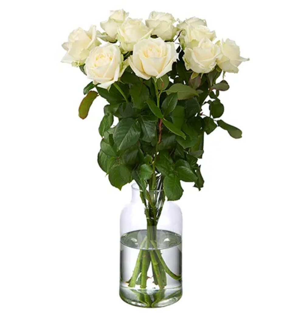 Roses are always a great gift for that special someone, regardless of the occasi...