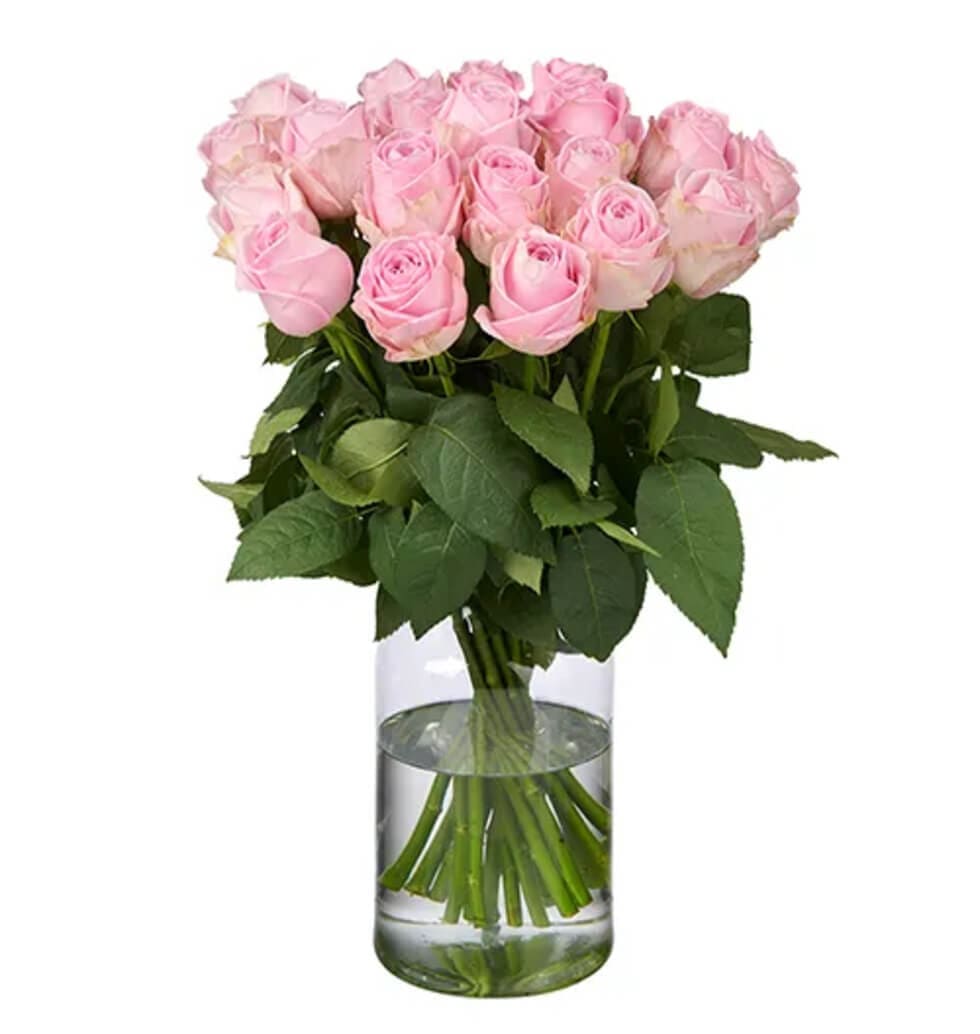 Pink roses are exquisite in their natural state and make the perfect gift for an...