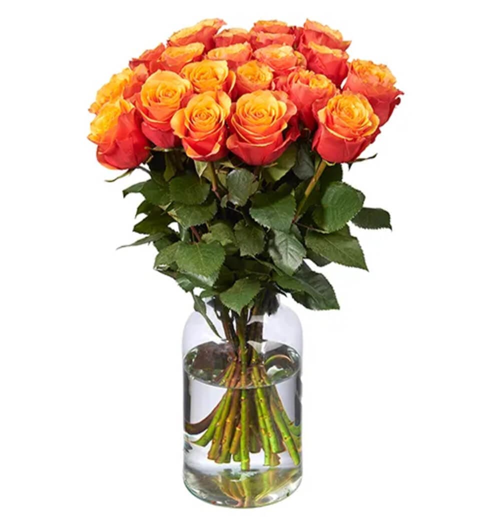 Sending someone orange roses is a lovely show of affection (50cm). Send your swe...