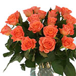 These cheerful orange roses is a great choice when you want to show someone you ...